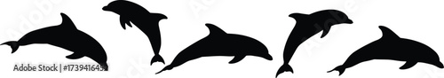 Dolphin silhouette set, swimming and leaping poses, black vector illustration, marine animal motion, ocean wildlife concept, playful aquatic design