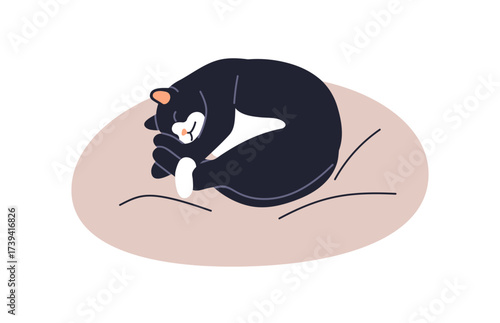 Cute cat sleeping on cushion. Kitty curled up, lying asleep, dreaming on pet bed, soft pillow. Sleepy home feline animal relaxing in comfort. Flat vector illustration isolated on white background.
