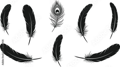 Feather silhouette illustrations, black vector set, peacock feather, natural shapes, detailed barbs, artistic design, bird plumage, decorative icons