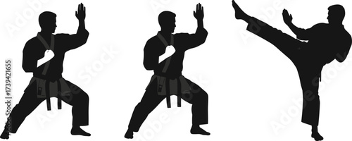 Martial arts silhouette, karate poses, high kick action, gi uniform, belt level, blocking technique, defense stance, strength, motion, discipline