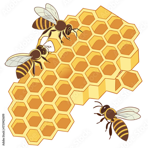 Three bees on a piece of honeycomb with hexagonal cells on a white background vector illustration