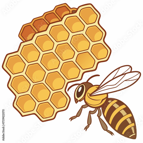 A single bee approaching a section of golden honeycomb on a white background Keywords: bee, honeycomb, honey, insect, apiary, beekeeping, nature, hexagon, cell, wax, sweet, food, production