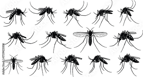 Mosquito silhouette set, insect vector icons, black and white sketch, flying and resting pose grid, entomology design artwork