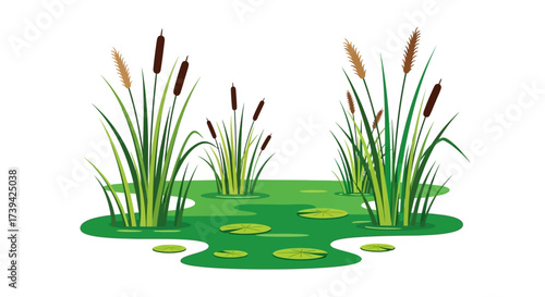 Peaceful pond scene 