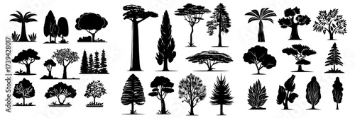 A flat setting of green trees includes a range of plants such as baobab, palm, dracaena, sequoia, fir, cypress, spruce, maple, thuja, willow, and pine, creating a diverse foliage in a park