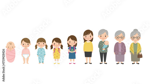Life Stages Of A Woman: Human Development From Baby To Senior Citizen Illustration