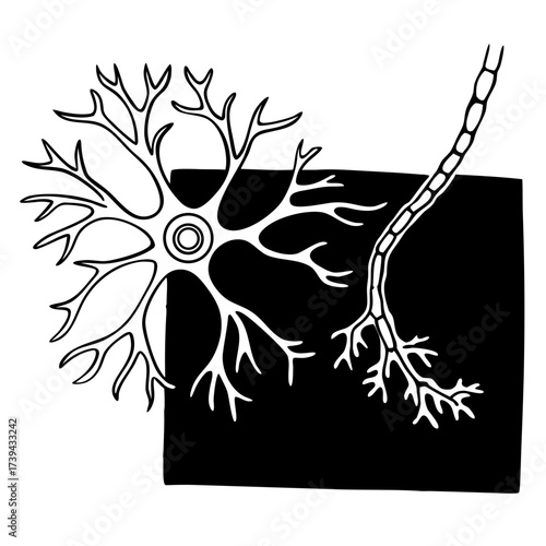 Neural network illustration with neuron and axon on black background  