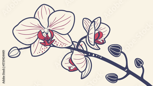 Aesthetic illustration of a branch with orchid flowers and buds in bloom on a light background created with generated ai