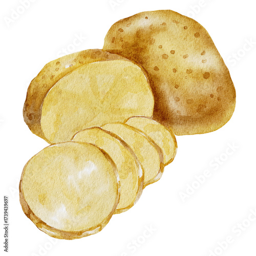  Watercolor potato⁠, potato chips isolated