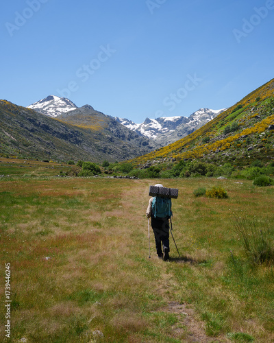 Backpacker hiking through a green mountain valley in Sierra de Gredos, Spain, towards snow-capped peaks under a clear blue sky. Scenic wilderness and adventure atmosphere.
