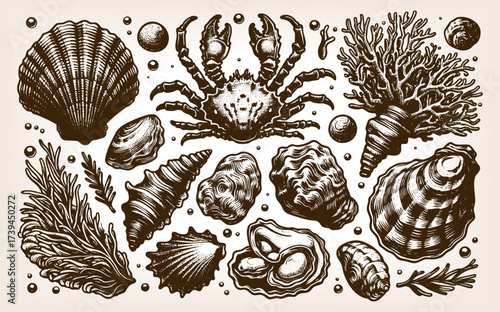 crab, various seashells, oysters, and corals, evoking marine life and ocean exploration themes sketch engraving generative ai vector illustration. Scratch board imitation. Black and white image.