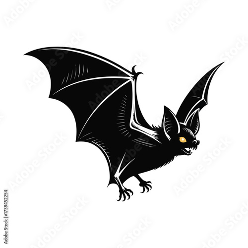 bat and bats