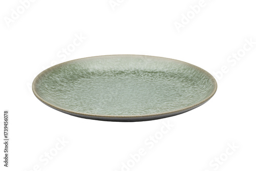 Elegant light green ceramic plate perfect for showcasing culinary creations and dining experiences