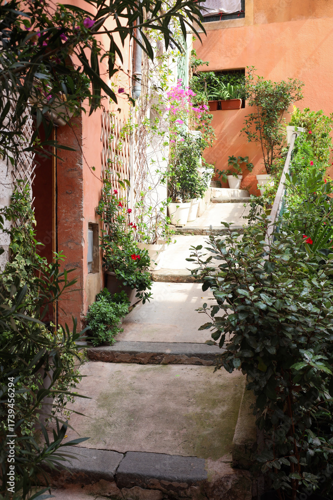 Naklejka premium Beautiful potted plants near building on city street