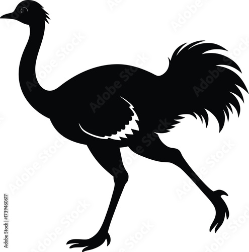A cute ostrich cartoon vector illustration of a wild bird with a long neck and beak isolated on white, featuring artistic wildlife elements similar to an emu or crane in a zoo nature setting