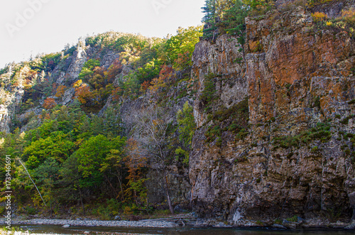 mountain landscape with trees