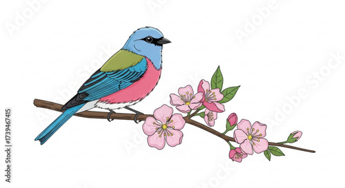 Charming illustration of a colorful bird perched on a blossoming branch, symbolizing natures beauty and renewal