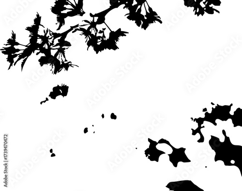 Delicate black floral silhouette with gentle branches, evoking springtime freshness and natural beauty, perfect for elegant designs and creative projects
