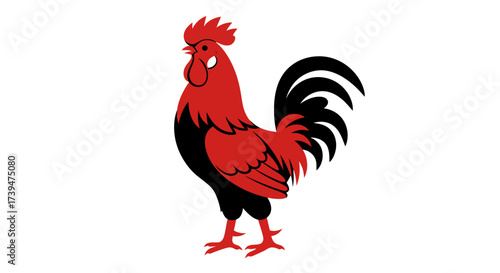 A red  black rooster shown standing