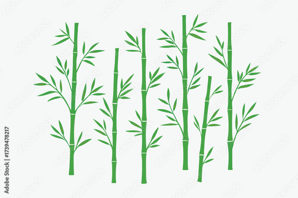 Fototapeta premium PrintGreen bamboo stalks with delicate leaves illustration