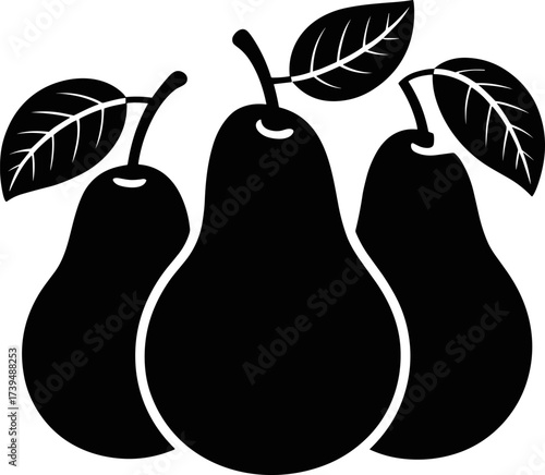 Vector Silhouette of Three Pears with Stems and Leaves for Organic Fruit and Produce Packaging Design or Natural Food Brand Identity