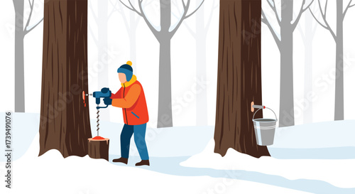 Person Tapping Maple Tree for Sap in Snowy Forest.