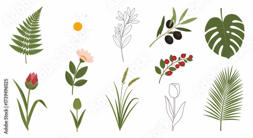 Vector set of various flowers leaves and branches in flat color and line art styles.