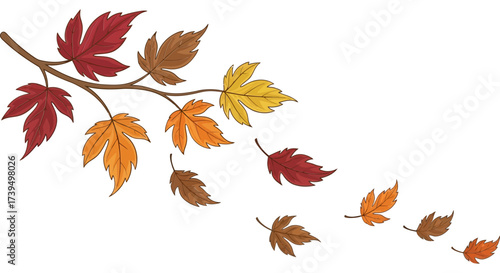 Autumn leaves falling from a branch in vibrant colors creating a seasonal background perfect for thanksgiving designs and fall themed graphics with a transparent backdrop for easy integration