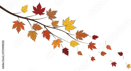 Autumn branch with colorful maple leaves gently falling against a dark background creating a serene and seasonal atmosphere perfect for fall themed designs and decorative elements
