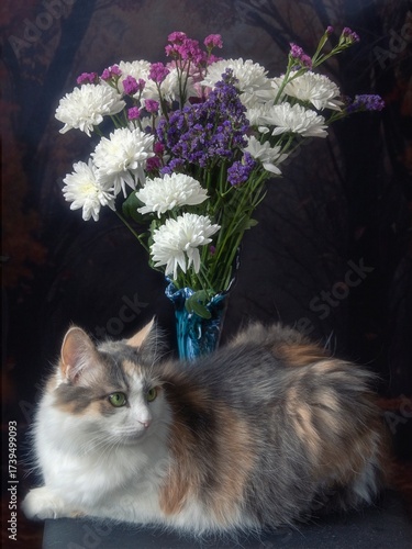 Bouquet of autumn flowers and beautiful tricolor kitty