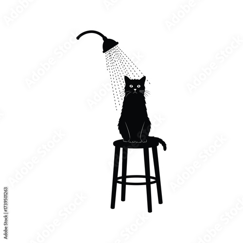 Funny black cat silhouette sitting on a stool under a shower with water droplets falling down
