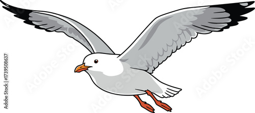 Seagull in flight vector illustration, detailed bird wings spread, coastal wildlife design, nautical theme artwork, ocean seabird drawing, marine animal graphic, migratory bird silhouette, editable