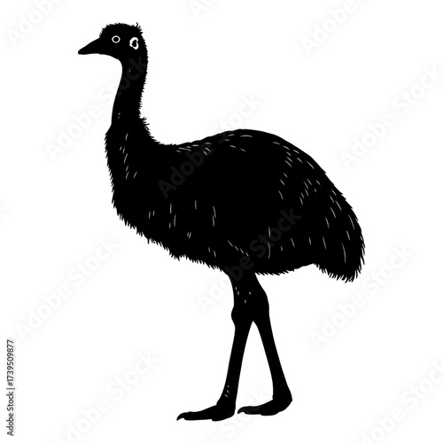 Silhouette Emu: This image captures a stark silhouette of an emu, its form defined by sharp lines against the empty space. The silhouette emphasizes the emu's distinctive profile.