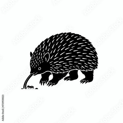 Echidna silhouette with ants: A stylized monochrome artwork depicts an echidna, its long tongue extended, engaged in the act of feeding on ants, against a contrasting backdrop.
