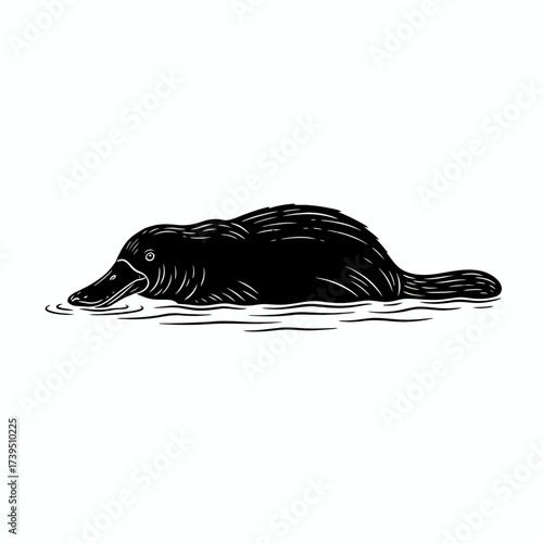 Monochromatic Platypus Portrait: A striking monochromatic illustration showcases the unique form of a platypus gracefully navigating through tranquil water.