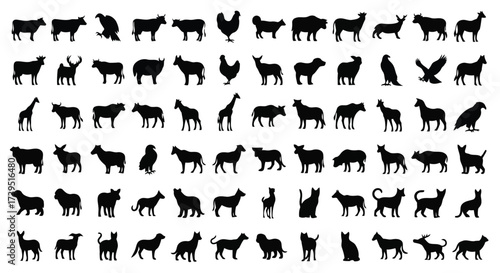 Vector illustration of large collection of black silhouette icons representing a diverse variety of farm animals, wild animals, and birds