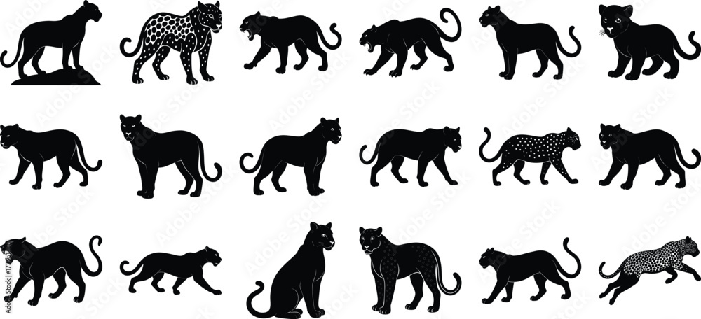 Obraz premium A silhouette of a leopard, on white background.
