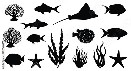 Vector illustration of collection of various black silhouette marine life and underwater elements, , including fish and coral