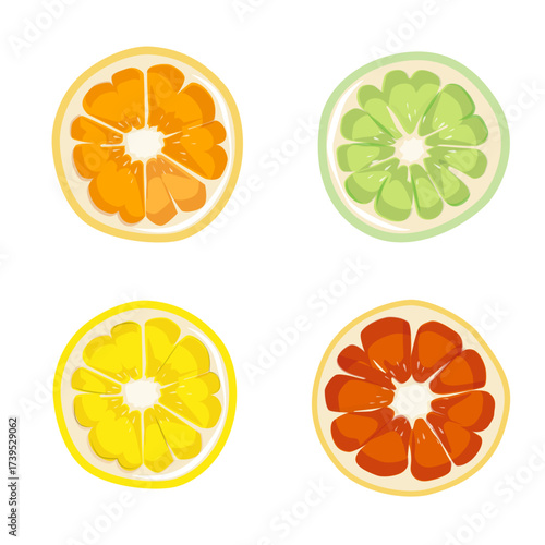 Citrus Slices Set Lemon Orange
