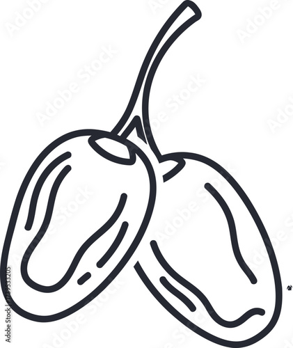 Two dates, a sweet fruit, are shown together on a stem, a healthy snack.