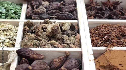 Exploring the vibrant world of herbs and spices in a local market filled with diverse aromas and colorful ingredients