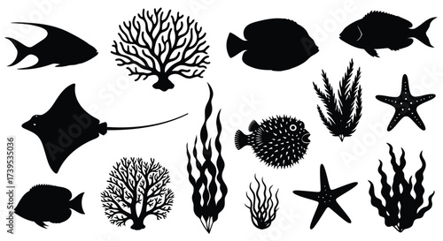 Vector illustration of collection of black silhouette marine life and underwater elements