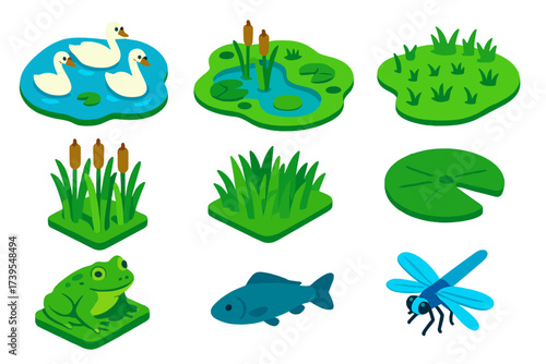Waterfowl Habitat Icons. Isometric vector illustration set Waterfowl Habitat: pond, swamp, marsh, wetland, cattails, reeds, grass