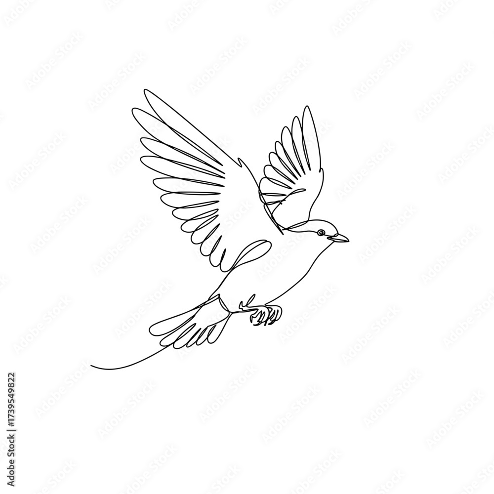 Fototapeta premium Line drawing of a bird flying with wings spread wide 