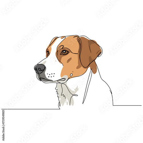 Dog portrait with brown and white fur in a minimal style  