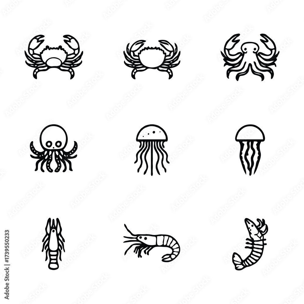 Obraz premium Vector silhouettes of starfish in various forms, black and white, simple line art style 25.eps