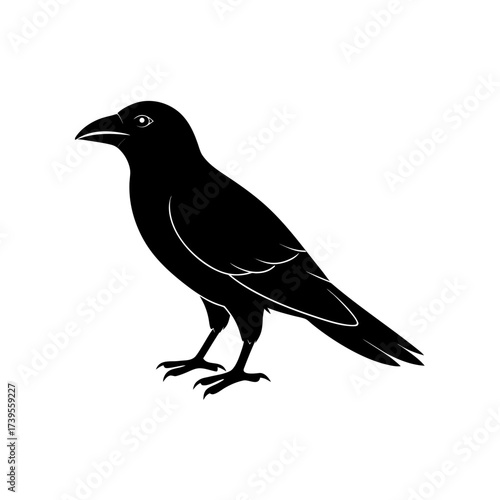 Silhouette of a black bird standing with its head turned to the left on a white background on transparent background