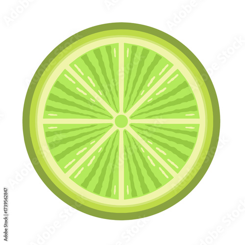 Fresh lime slice cross section vector illustration. Green lime fruit icon