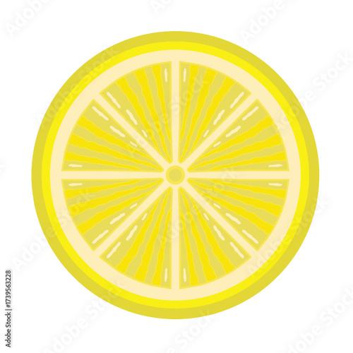 Fresh Lemon or orange slice cross section vector illustration. Hand drawn yellow citrus fruit slice