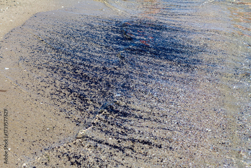 Crossing waves on the seashore surf beach background sunny day sea foam